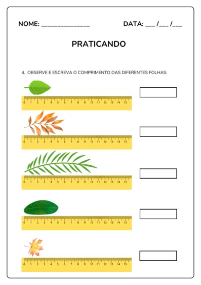 Unidades de Medida do 1º ao 5º ano - imagem 3